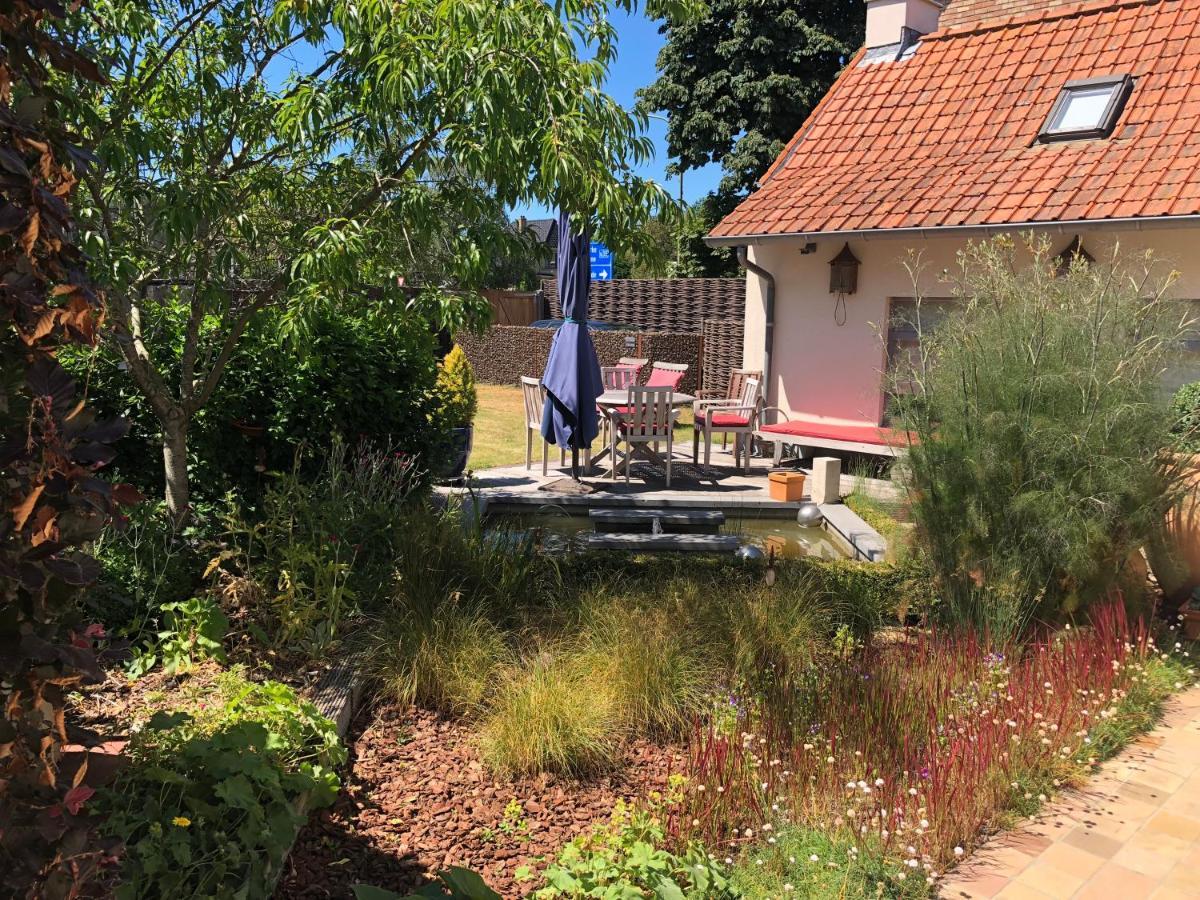 B&B Kudita Де Пане Екстериор снимка